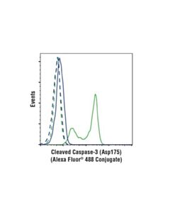 Cell Signaling Cleaved Caspase-3 (Asp175) Antibody (Alexa Fluor 488 Conjugate)