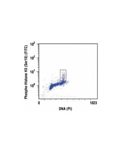 Cell Signaling Phospho-Histone H3 (Ser10) Antibody