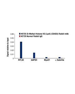 Cell Signaling Di-Methyl-Histone H3 (Lys4) (C64g9) Rabbit mAb
