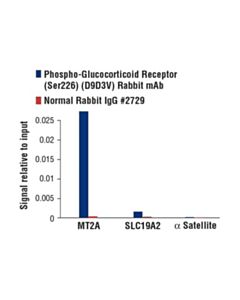 Cell Signaling Phospho-Glucocorticoid Receptor (Ser226) (D9d3v) Rabbit mAb