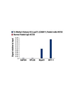 Cell Signaling Tri-Methyl-Histone H3 (Lys27) (C36b11) Rabbit mAb