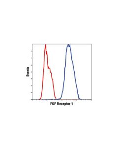 Cell Signaling Fgf Receptor 1 (D8e4) Xp Rabbit mAb