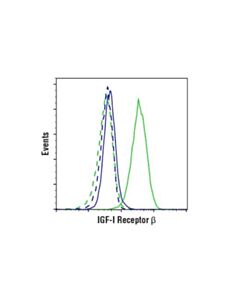 Cell Signaling Igf-I Receptor Beta (D23h3) Xp Rabbit mAb
