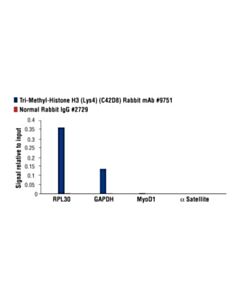 Cell Signaling Tri-Methyl-Histone H3 (Lys4) (C42d8) Rabbit mAb