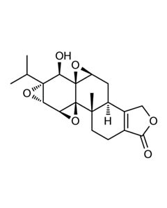 Cell Signaling Triptolide