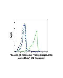 Cell Signaling Phospho-S6 Ribosomal Protein (Ser235/236) (D57.2.2e) Xp ® Rabbit mAb (Alexa Fluor ® 532 Conjugate)