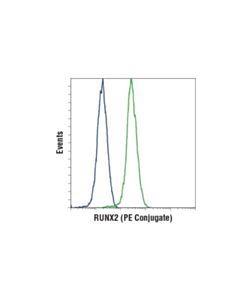 Cell Signaling Runx2 (D1l7f) Rabbit mAb (Pe Conjugate)