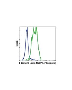 Cell Signaling E-Cadherin (24e10) Rabbit mAb (Alexa Fluor<LT/>Sup&Gt;®<LT/>/Sup&Gt; 647 Conjugate)