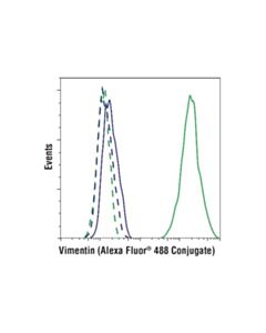 Cell Signaling Vimentin (D21h3) Xp Rabbit mAb (Alexa Fluor 488 Conjugate)