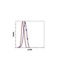Cell Signaling Mtor Substrates Antibody Sampler Kit