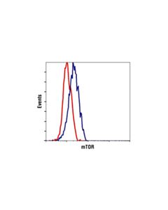 Cell Signaling Mtor Regulation Antibody Sampler Kit