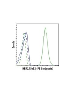 Cell Signaling Her2/Erbb2 (29d8) Rabbit mAb (PE Conjugate)