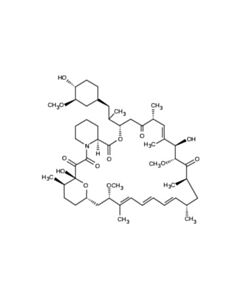 Cell Signaling Rapamycin