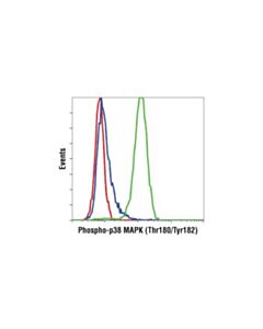 Cell Signaling Phospho-Mapk Family Antibody Sampler Kit