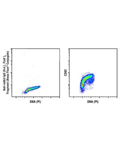 Cell Signaling Cell Cycle Regulation Antibody Sampler Kit