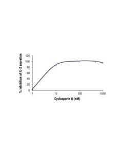 Cell Signaling Cyclosporin A
