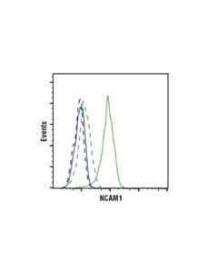 Cell Signaling Ncam1 (Cd56) (E7x9m) Xp<LT/>Sup&Gt;®<LT/>/Sup&Gt; Rabbit mAb