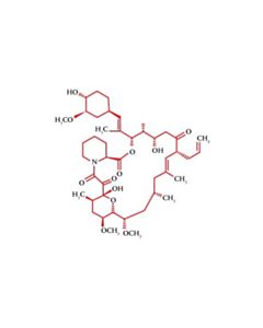 Cell Signaling Fk-506
