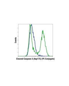 Cell Signaling Cleaved Caspase-3 (Asp175) (5a1e) Rabbit mAb (PE Conjugate)