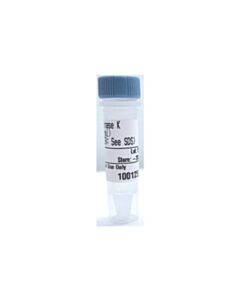 Cell Signaling Proteinase K (20 mg/mL)