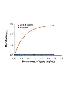 Cell Signaling HER4/ErbB4 (D7H9) Rabbit mAb (BSA and Azide Free)