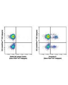 Cell Signaling Granzyme H (E3h7w) Rabbit mAb (Alexa Fluor® 647 Conjugate)