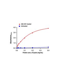 Cell Signaling CSF-1R/M-CSF-R (D9A9Y) Rabbit mAb (BSA and Azide Free)