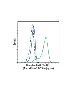 Cell Signaling Phospho-Stat6 (Tyr641) (D8s9y) Rabbit mAb (Alexa Fluor 647 Conjugate)