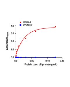 Cell Signaling DPP4/CD26 Matched Antibody Pair