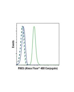 Cell Signaling Pax5 (D19f8) Xp Rabbit mAb (Alexa Fluor 488 Conjugate)