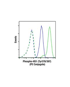 Cell Signaling Phospho-HS1 (Tyr397) (D12C1) XP Rabbit mAb (PE Conjugate)