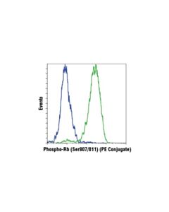 Cell Signaling Phospho-Rb (Ser807/811) (D20b12) Xp Rabbit mAb (PE Conjugate)