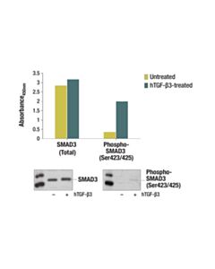 Cell Signaling Pathscan Total Smad3 Sandwich ELISA Kit