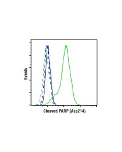Cell Signaling Phosphoplus Cleaved Parp (Asp214) Antibody Duet