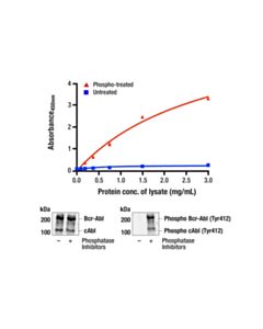 Cell Signaling Pthscn Phospho-C-Abl (Tyr412)Sndwich ELISA Kit Apply) (Additional