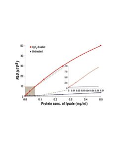 Cell Signaling Pathscan Phospho-Acetyl-Coa Carboxylase (Ser79) Chemiluminescent Sandwich ELISA Kit