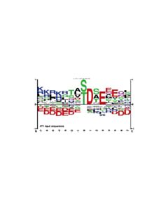 Cell Signaling PTMScan Phospho-CK2 Substrate Motif (S*/T*DXE) Kit 1 Kit