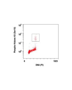 Cell Signaling Phosphoplus Histone H3 (Ser10) Antibody Duet