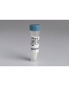 Cell Signaling Ptmscan Trypsin Digested Control Peptides I