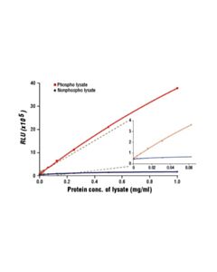 Cell Signaling Pathscan Phospho-Ret (Pantyr) Chemiluminescent Sandwich ELISA Kit