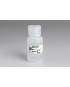 Cell Signaling Immunofluorescence Blocking Buffer