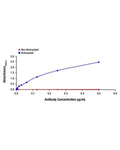Cell Signaling SMAD2/3 (D7G7) Rabbit Monoclonal Antibody (Biotinylated)
