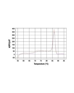 Cell Signaling Simplechip Human Ccnd1 Promoter Primers