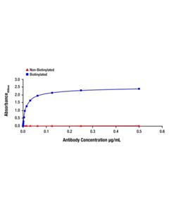 Cell Signaling SMAD2 (D43B4) Rabbit Monoclonal Antibody (Biotinylated)