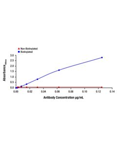 Cell Signaling Btk (D3H5) Rabbit Monoclonal Antibody (Biotinylated)