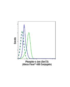 Cell Signaling Phospho-C-Jun (Ser73) (D47g9) Xp Rabbit mAb (Alexa Fluor 488 Conjugate)