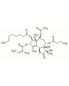 Cell Signaling Thapsigargin