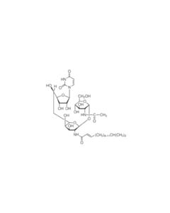 Cell Signaling Tunicamycin