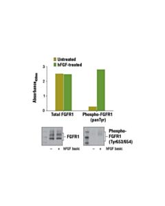 Cell Signaling Pathscan  Phospho-Fgf Receptor 1 (Pantyr) Sandwich ELISA Kit