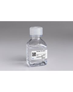 Cell Signaling Nuclease-Free Water